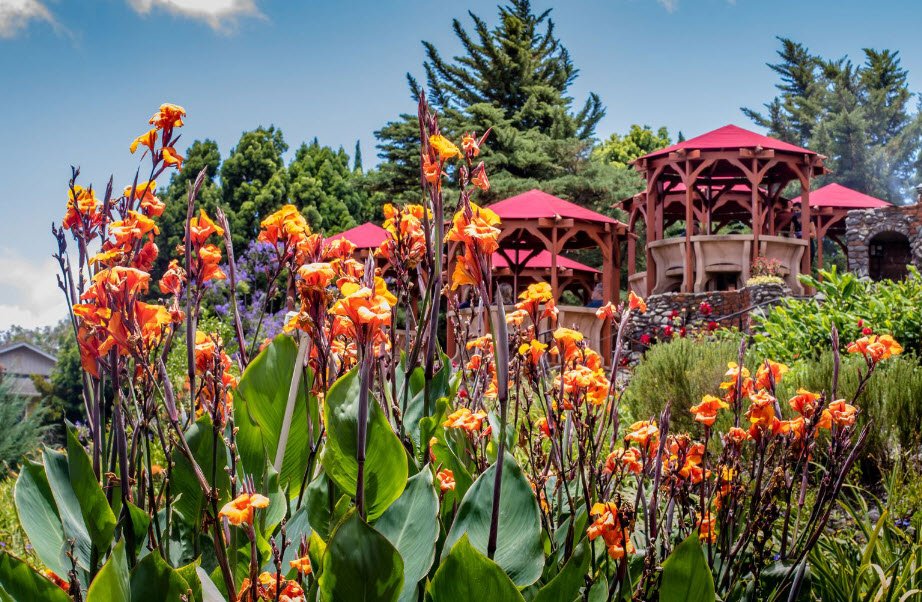 Kula Botanical Garden, United States